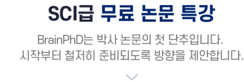 타이틀