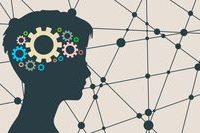 Essential Tips for PhD Candidates on Analyzing Psychological