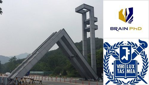 [디지털타임스]박사논문 전문기업 논문컨설팅 브레인PhD “석사·박사논문 무료 진단 서비스 